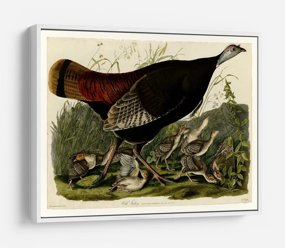 Wild Turkey 2 by Audubon HD Metal Print - Canvas Art Rocks - 7