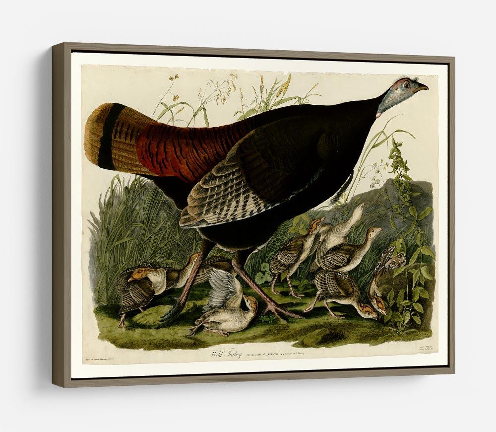 Wild Turkey 2 by Audubon HD Metal Print - Canvas Art Rocks - 10