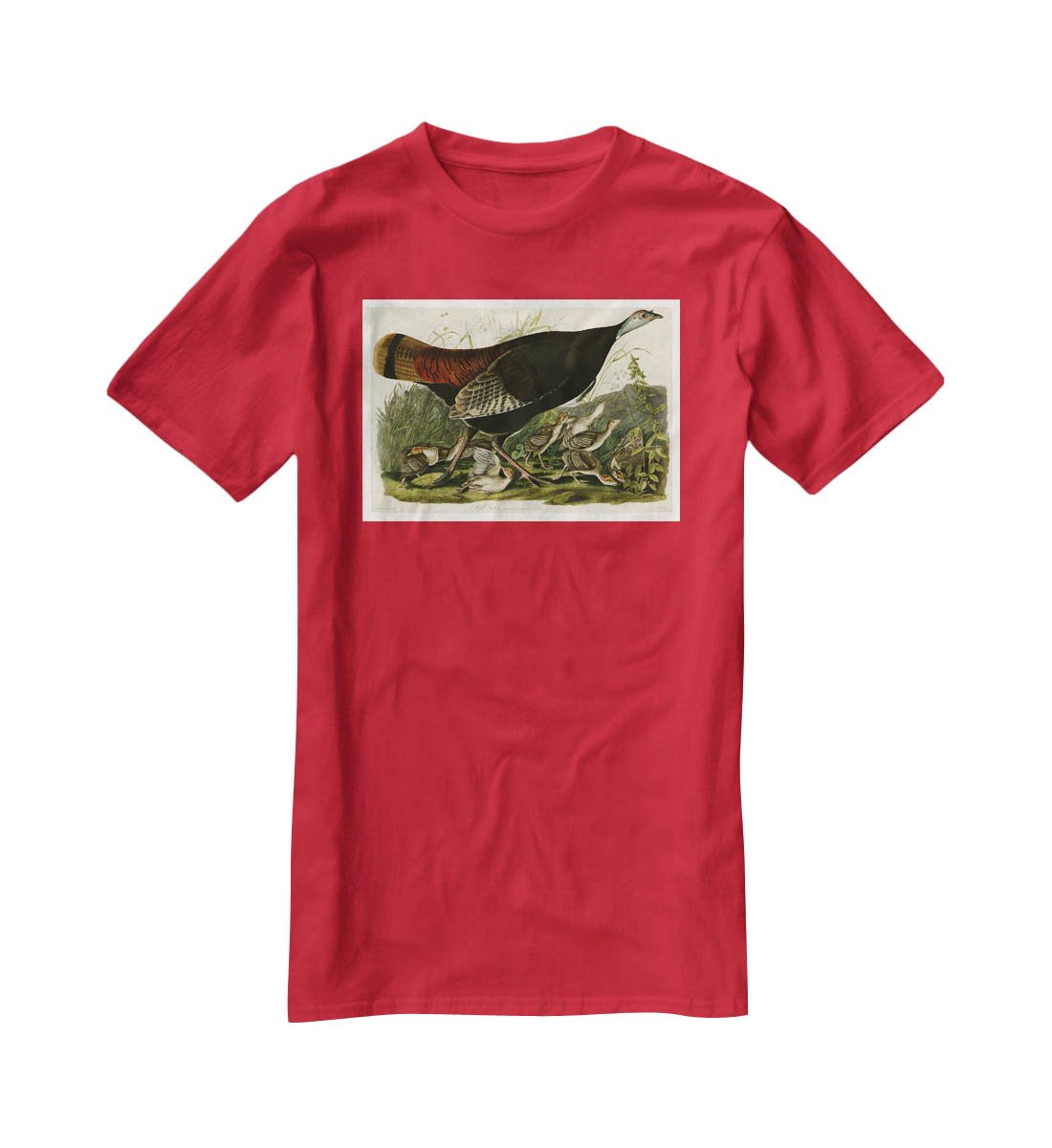 Wild Turkey 2 by Audubon T-Shirt - Canvas Art Rocks - 4