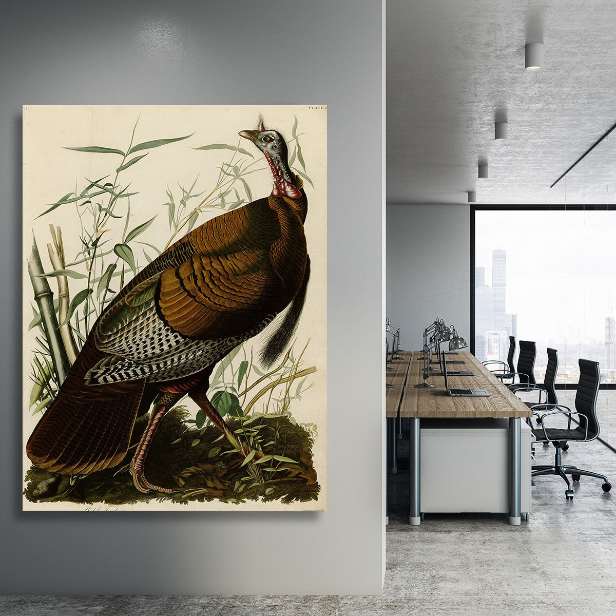 Wild Turkey by Audubon Canvas Print or Poster