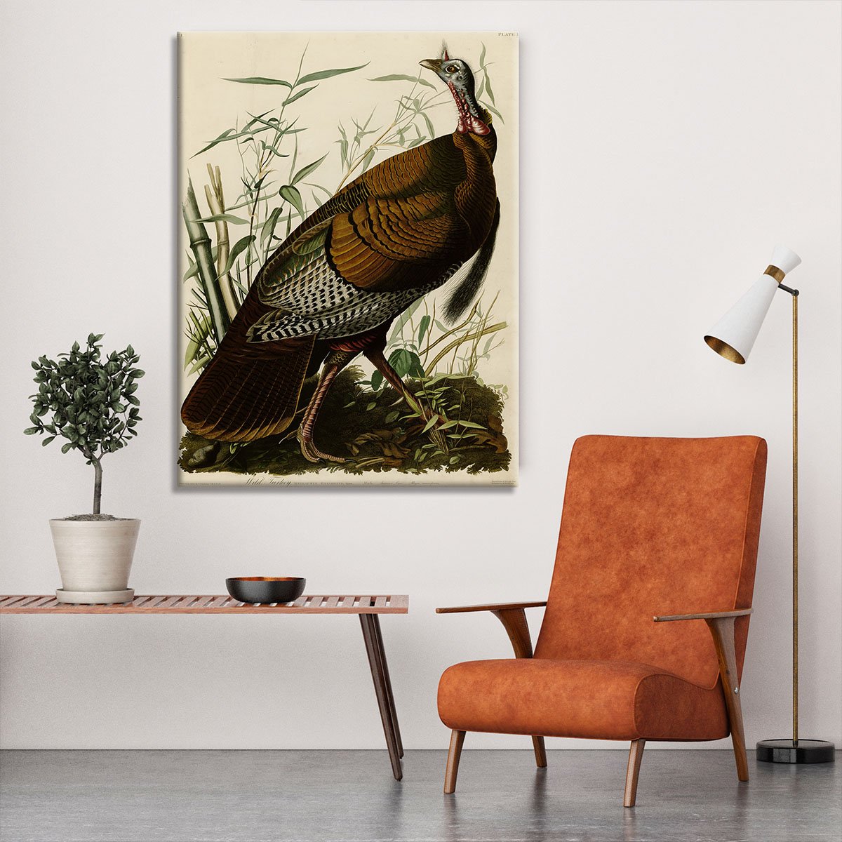 Wild Turkey by Audubon Canvas Print or Poster
