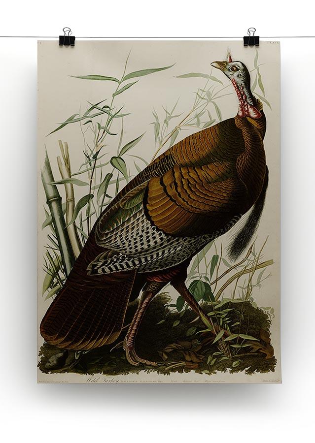Wild Turkey by Audubon Canvas Print or Poster - Canvas Art Rocks - 2