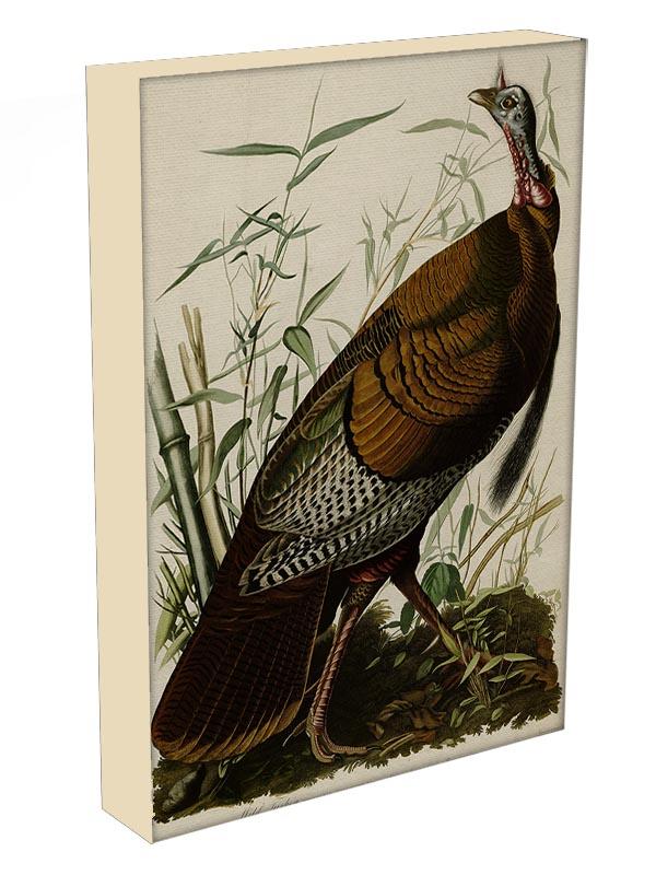 Wild Turkey by Audubon Canvas Print or Poster - Canvas Art Rocks - 3
