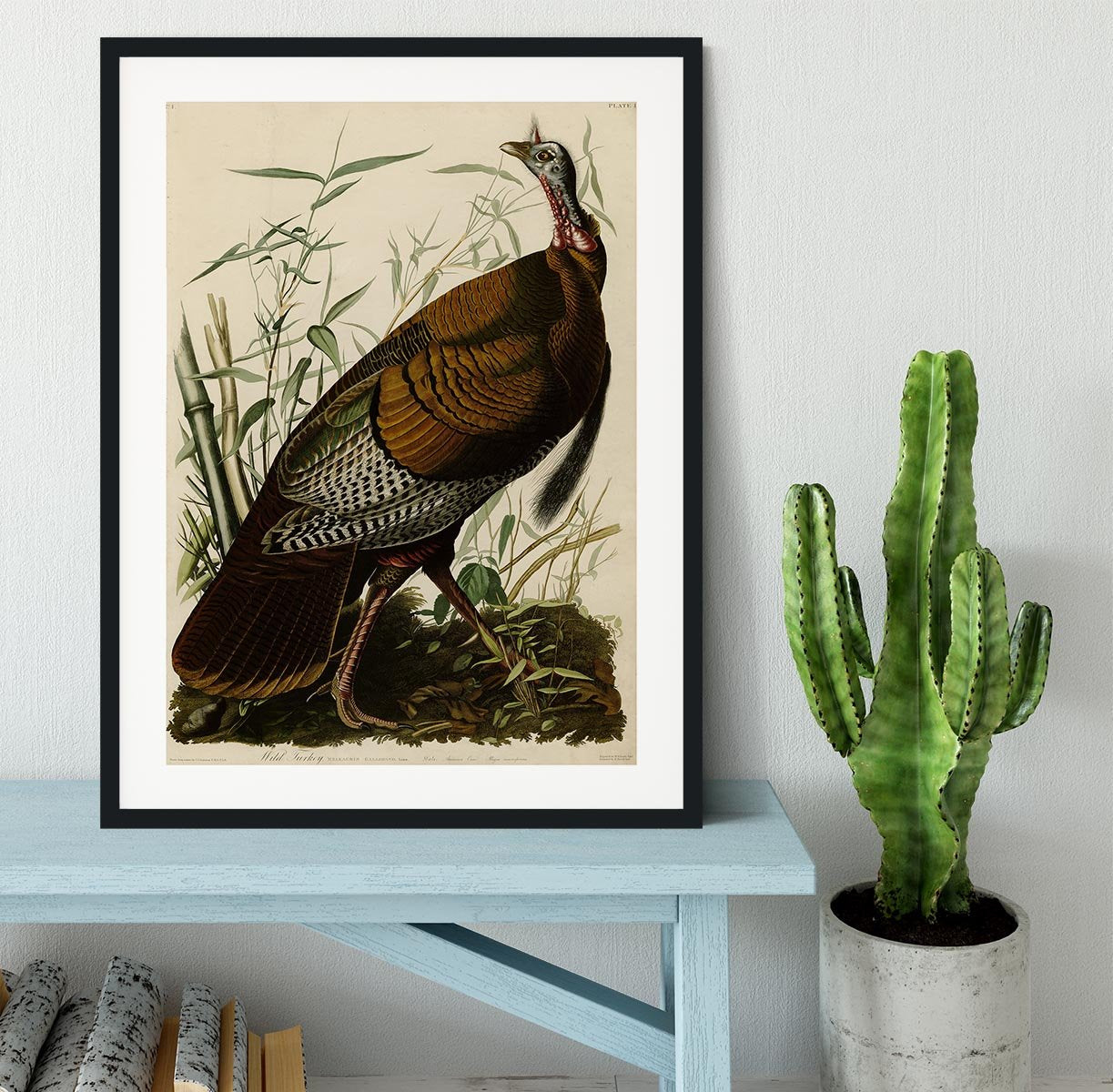 Wild Turkey by Audubon Framed Print - Canvas Art Rocks - 1