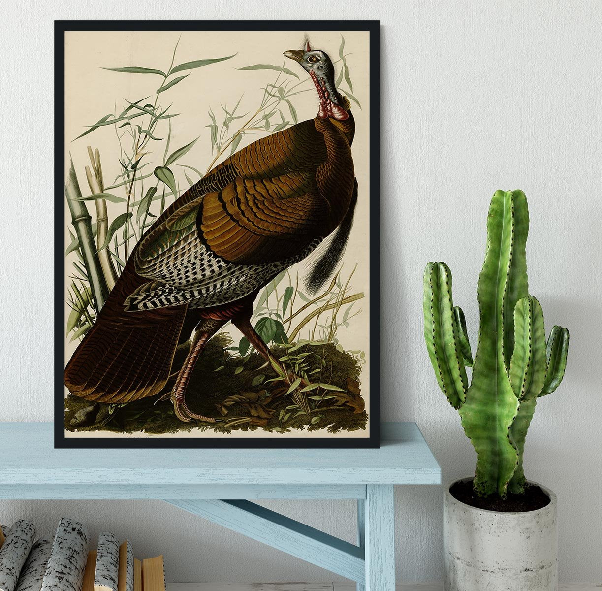 Wild Turkey by Audubon Framed Print - Canvas Art Rocks - 2