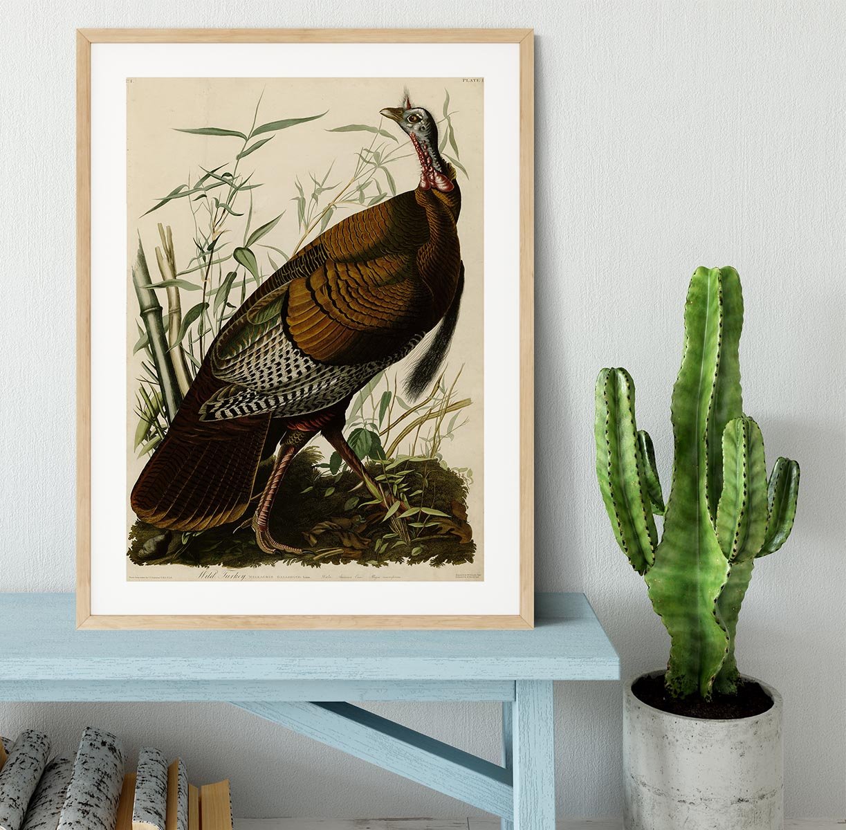 Wild Turkey by Audubon Framed Print - Canvas Art Rocks - 3