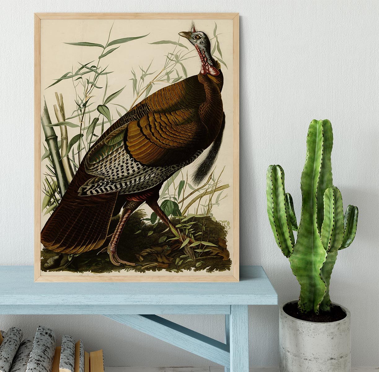 Wild Turkey by Audubon Framed Print - Canvas Art Rocks - 4