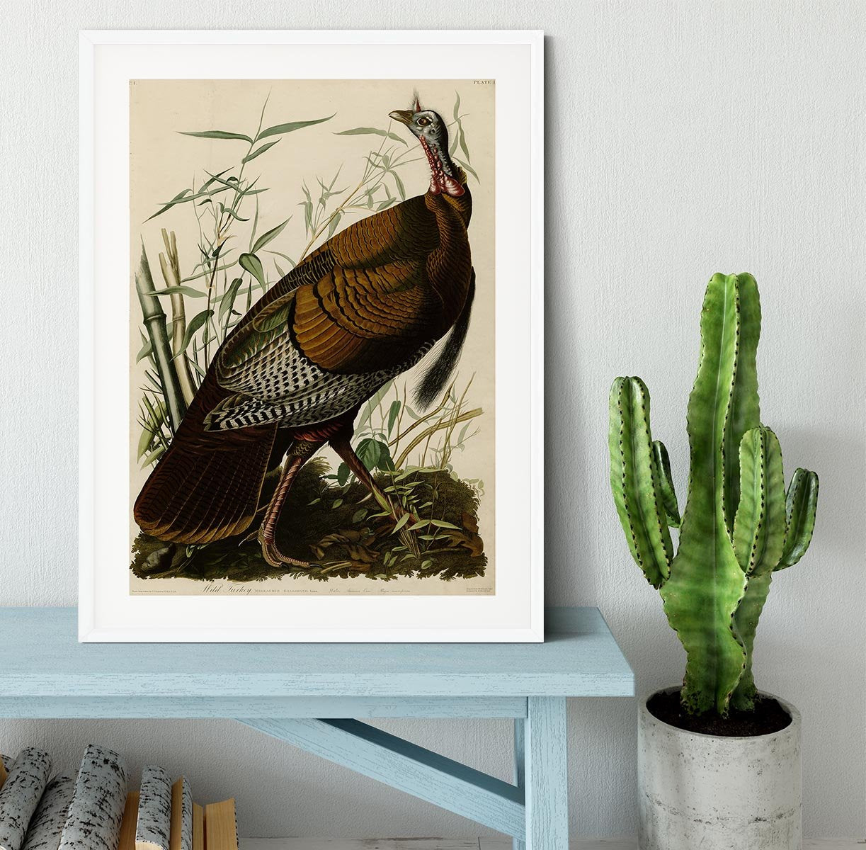 Wild Turkey by Audubon Framed Print - Canvas Art Rocks - 5