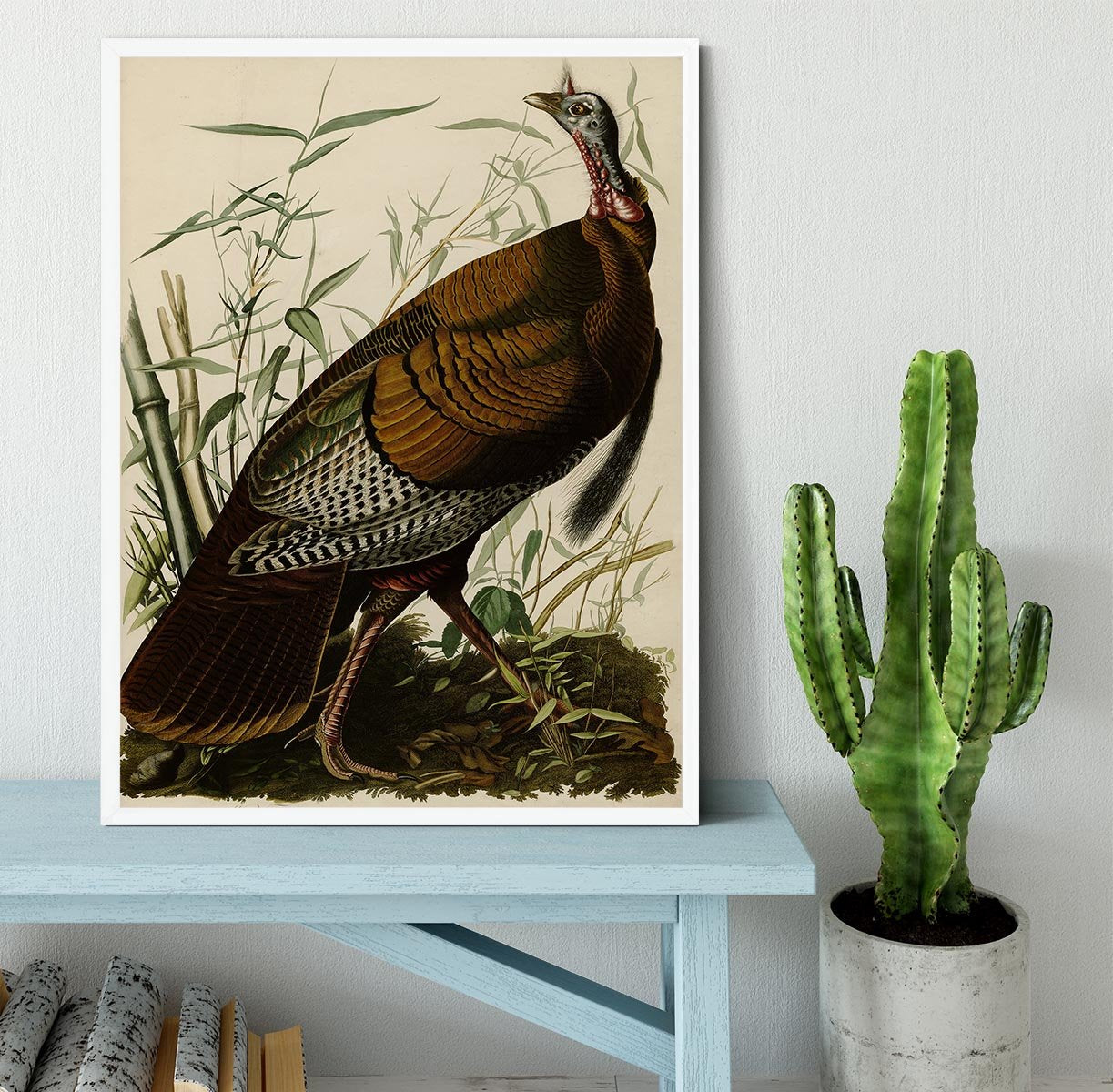 Wild Turkey by Audubon Framed Print - Canvas Art Rocks -6