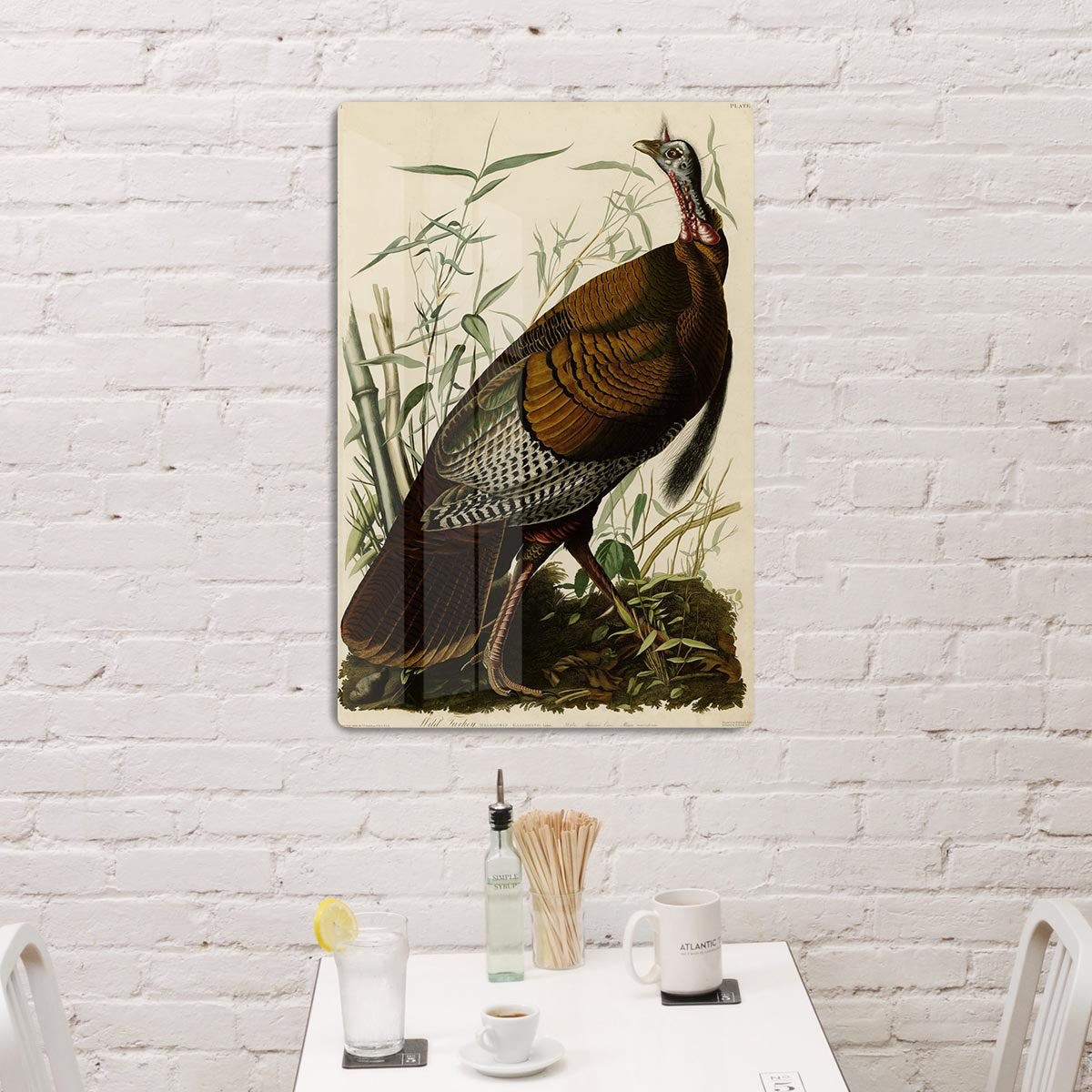 Wild Turkey by Audubon HD Metal Print - Canvas Art Rocks - 3