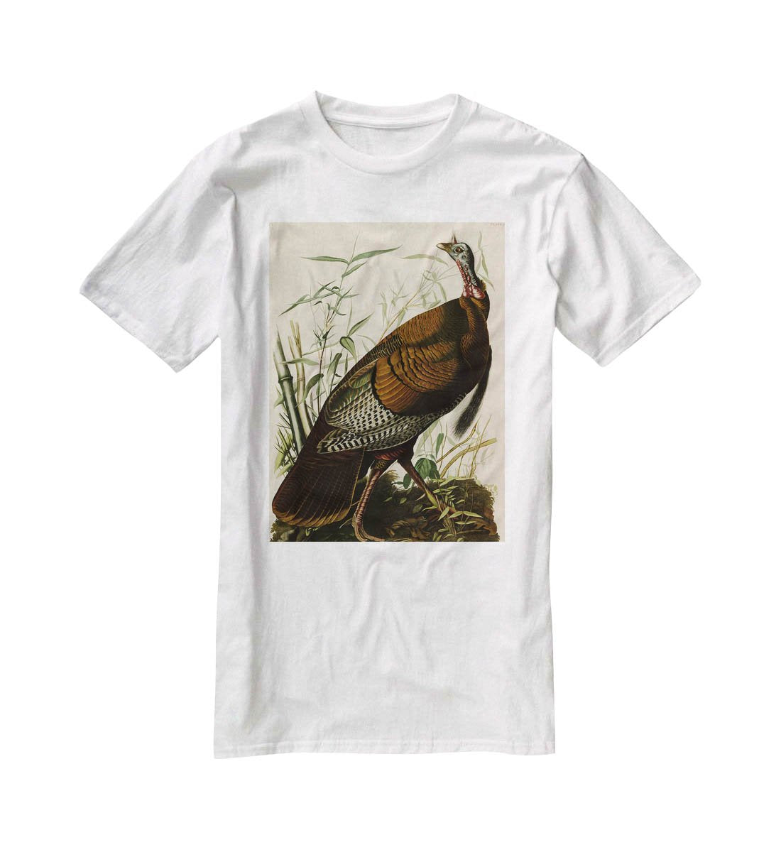 Wild Turkey by Audubon T-Shirt - Canvas Art Rocks - 5