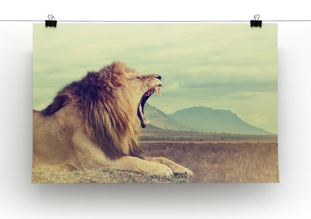 Wild african lion Canvas Print or Poster - Canvas Art Rocks - 2