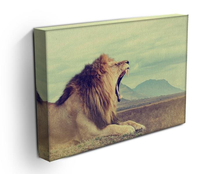 Wild african lion Canvas Print or Poster - Canvas Art Rocks - 3