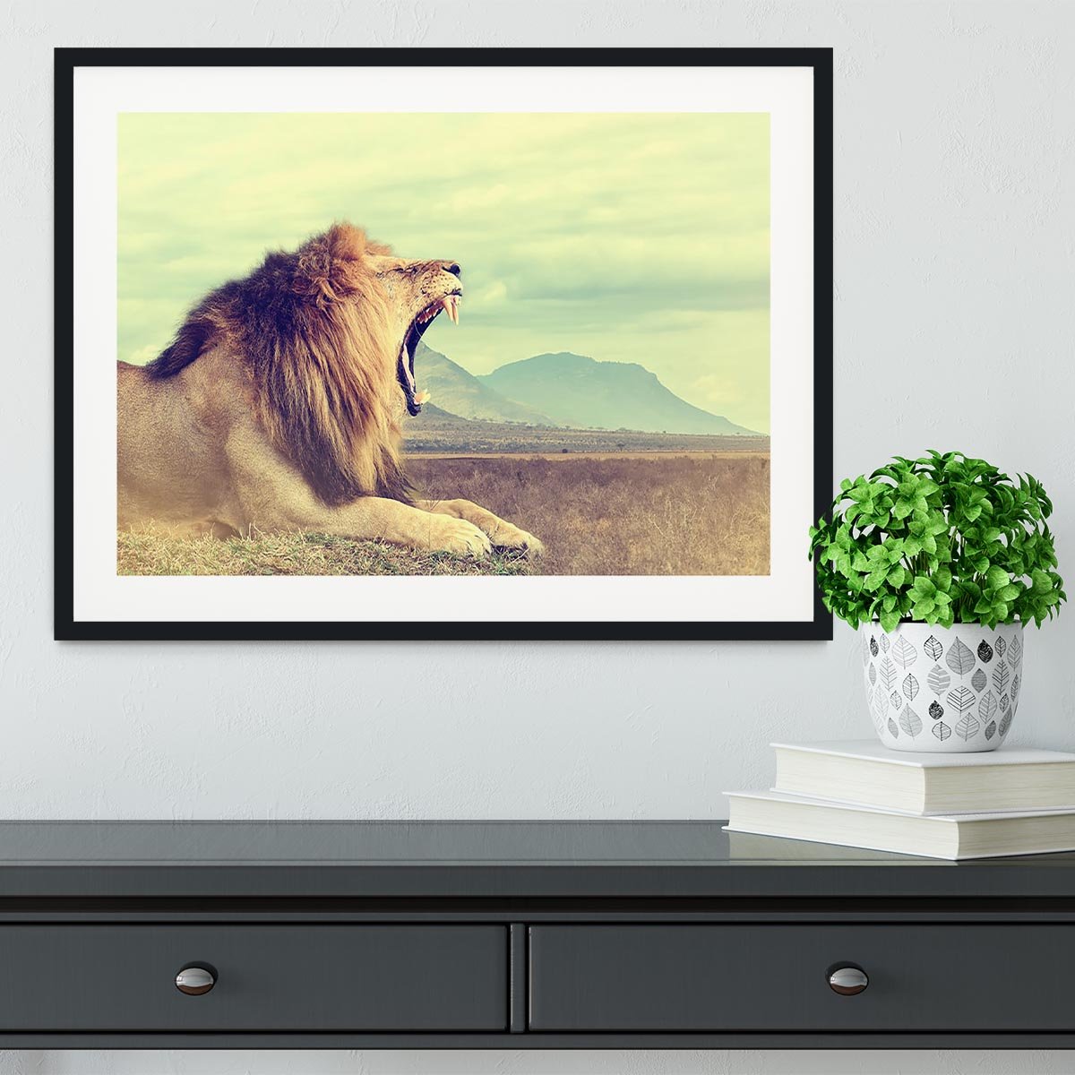 Wild african lion Framed Print - Canvas Art Rocks - 1