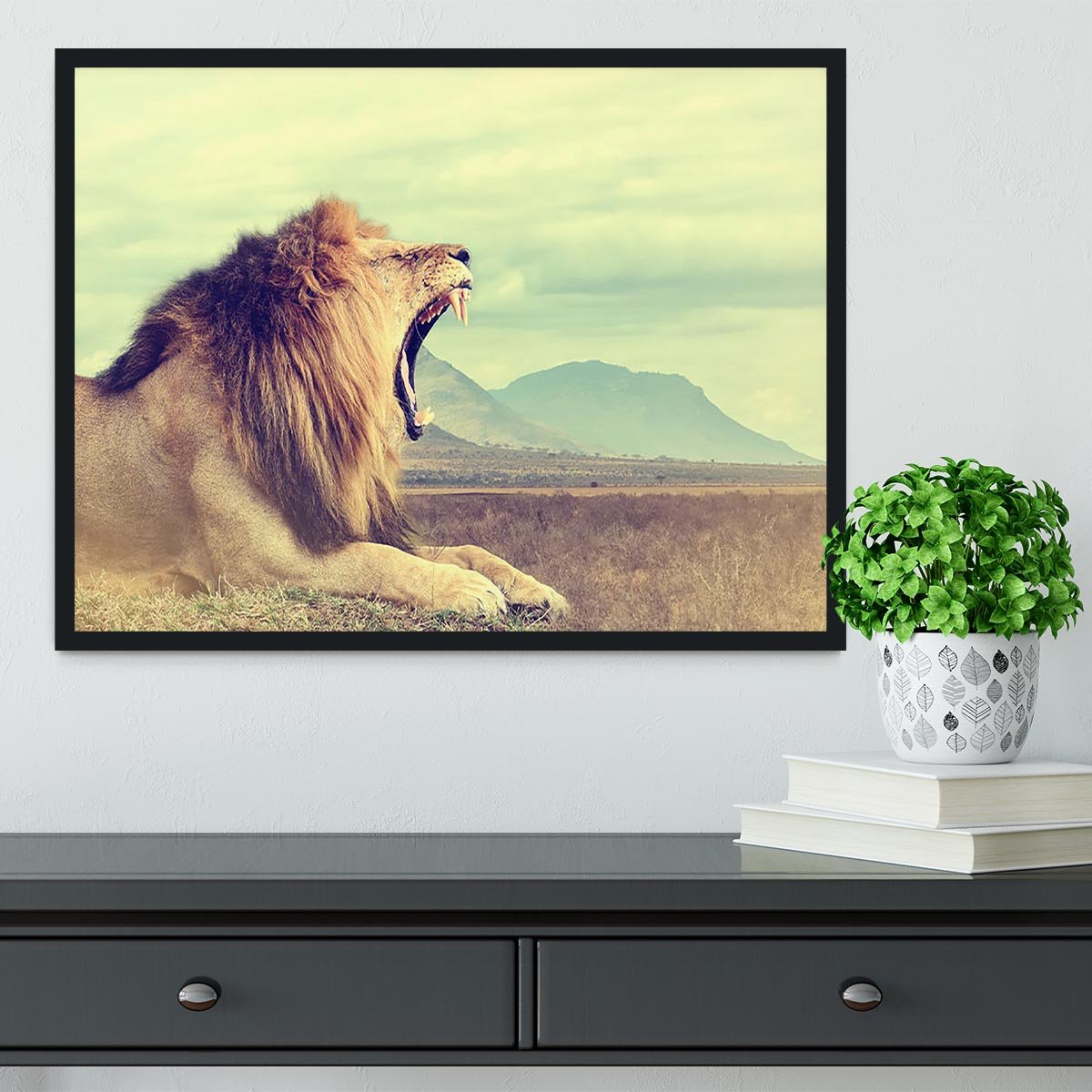 Wild african lion Framed Print - Canvas Art Rocks - 2