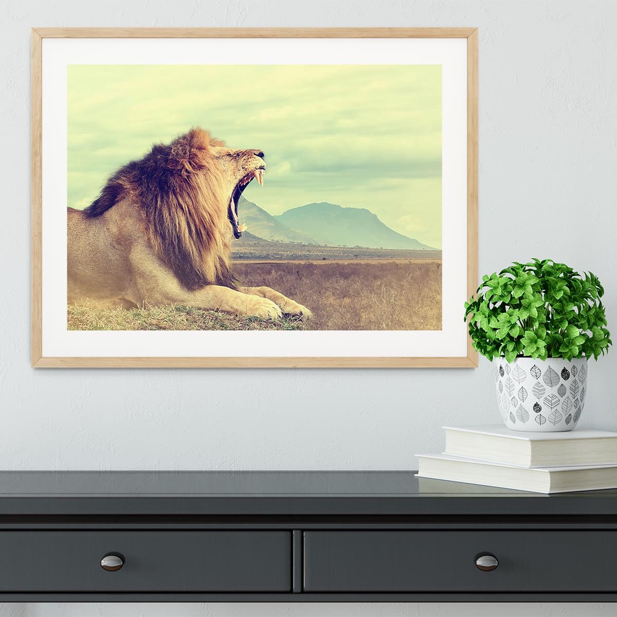 Wild african lion Framed Print - Canvas Art Rocks - 3