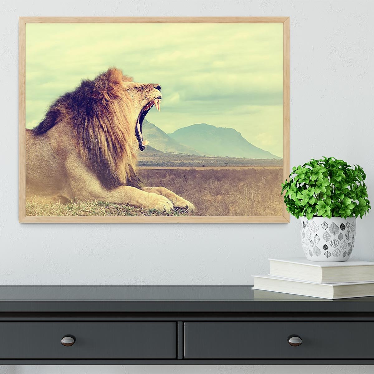 Wild african lion Framed Print - Canvas Art Rocks - 4