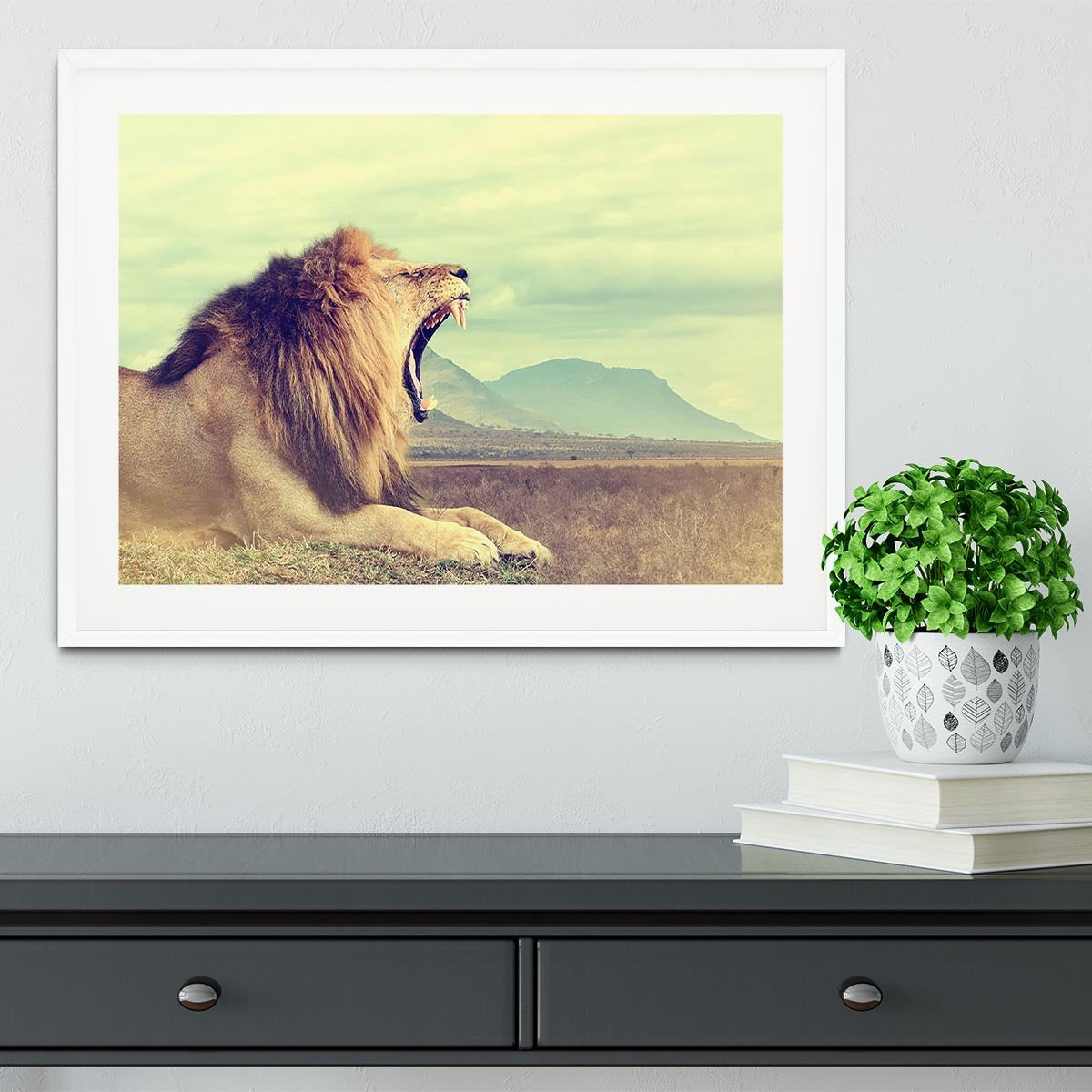 Wild african lion Framed Print - Canvas Art Rocks - 5