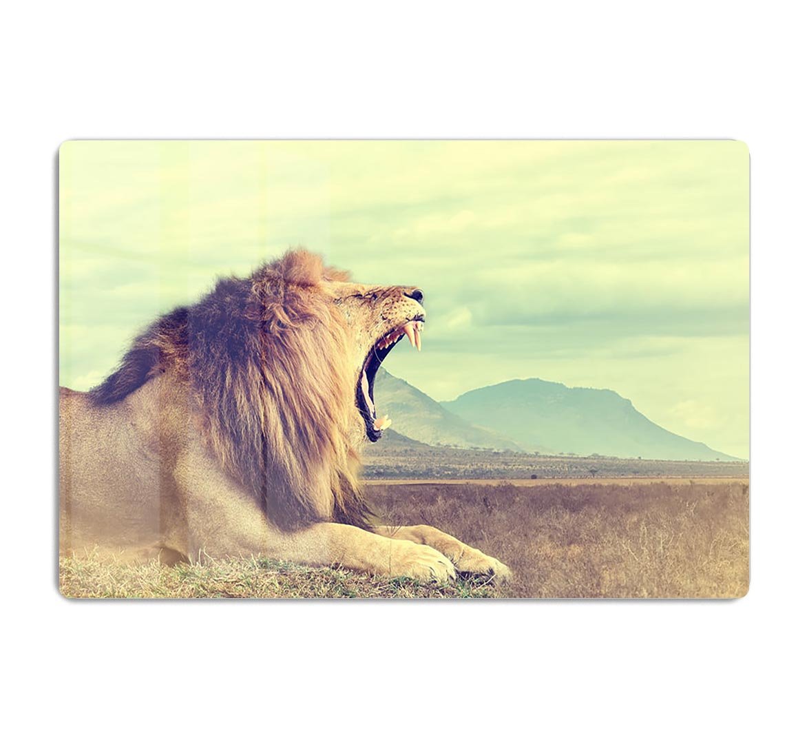 Wild african lion HD Metal Print - Canvas Art Rocks - 1