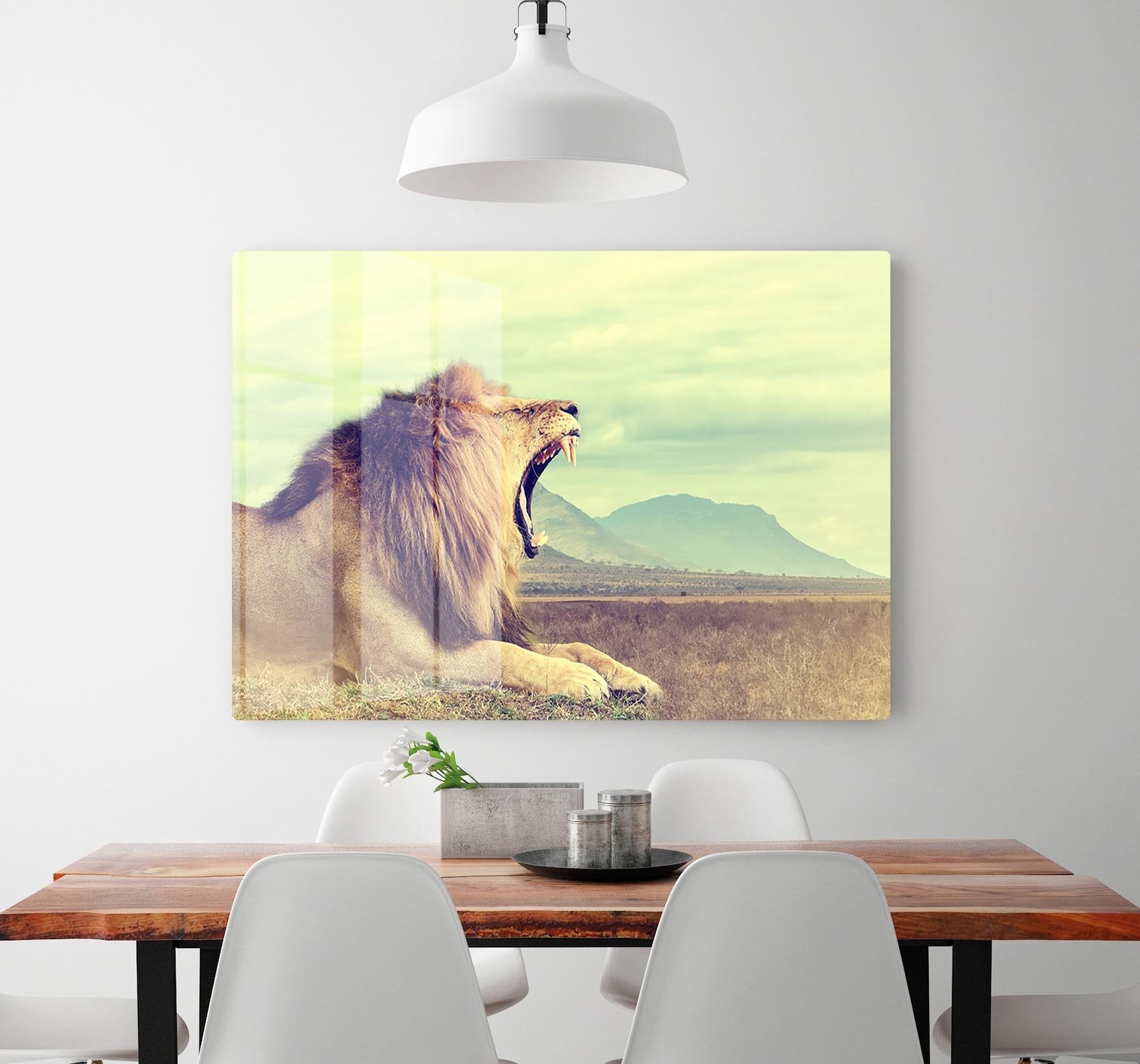Wild african lion HD Metal Print - Canvas Art Rocks - 2