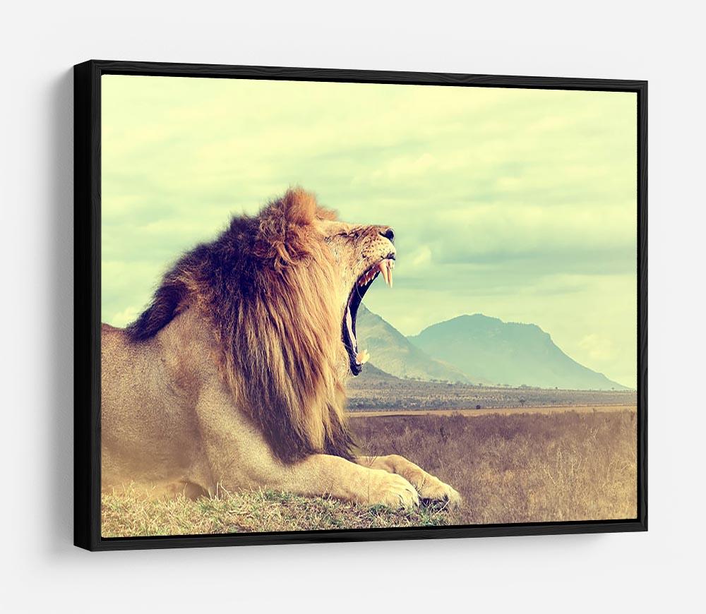 Wild african lion HD Metal Print - Canvas Art Rocks - 6