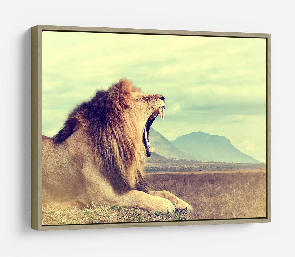Wild african lion HD Metal Print - Canvas Art Rocks - 8