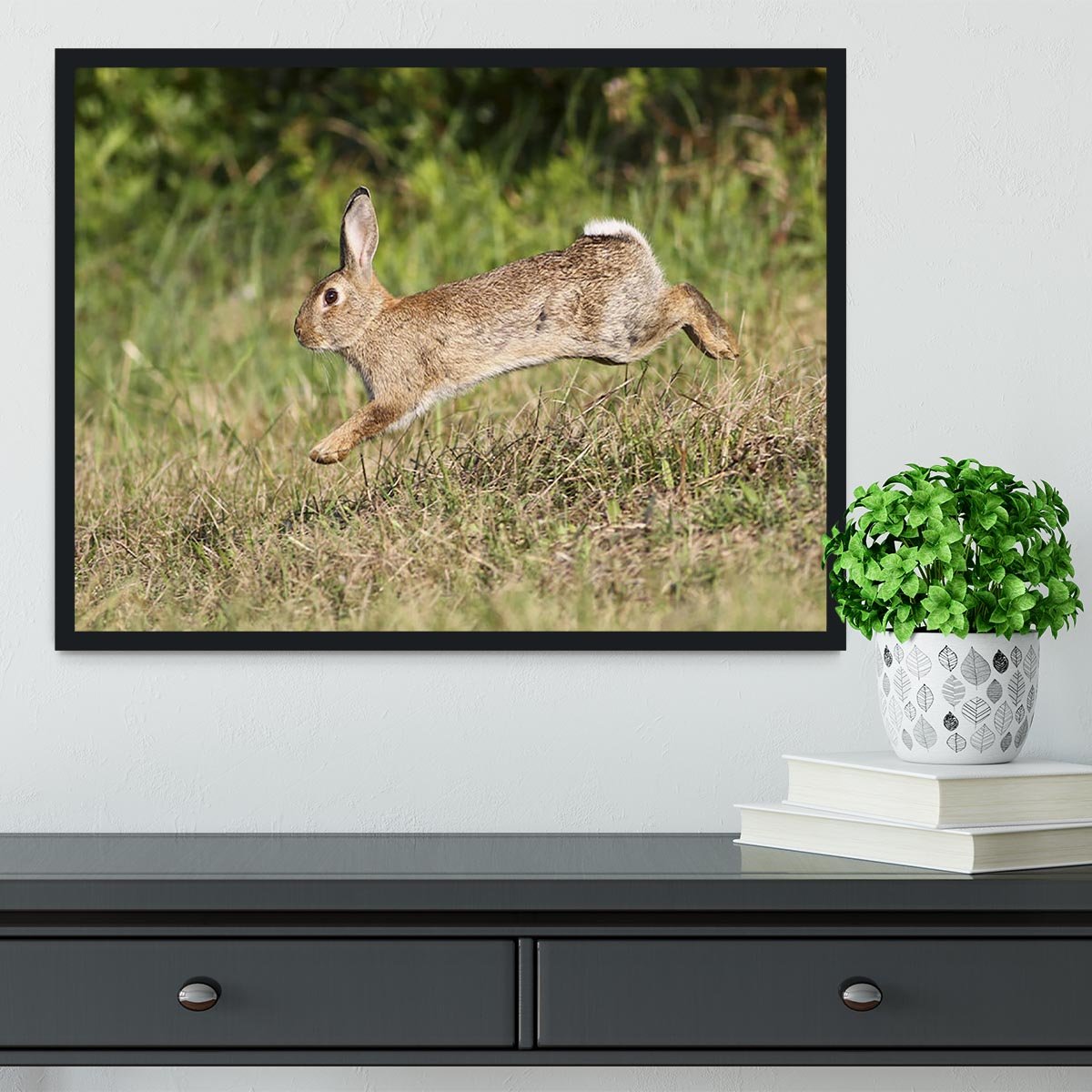 Wild cute rabbit is jumping on meadow Framed Print - Canvas Art Rocks - 2