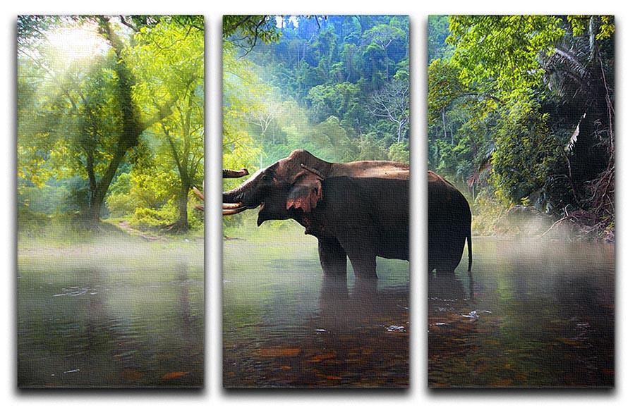 Wild elephant in the beautiful forest 3 Split Panel Canvas Print - Canvas Art Rocks - 1