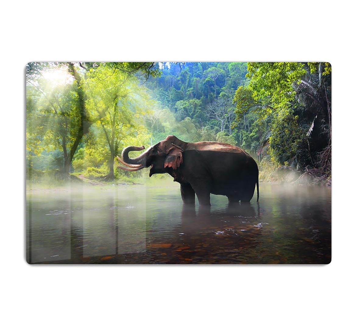 Wild elephant in the beautiful forest HD Metal Print - Canvas Art Rocks - 1