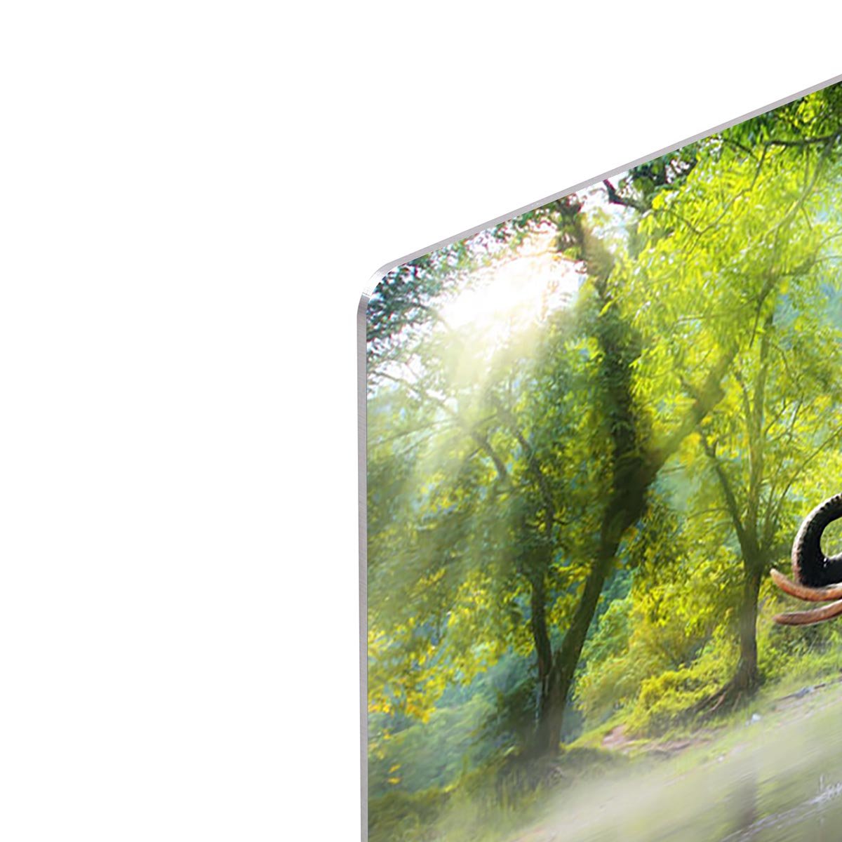 Wild elephant in the beautiful forest HD Metal Print - Canvas Art Rocks - 4