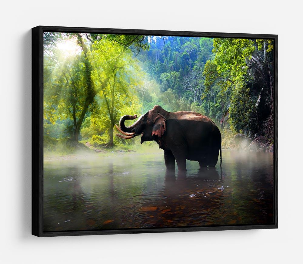 Wild elephant in the beautiful forest HD Metal Print - Canvas Art Rocks - 6