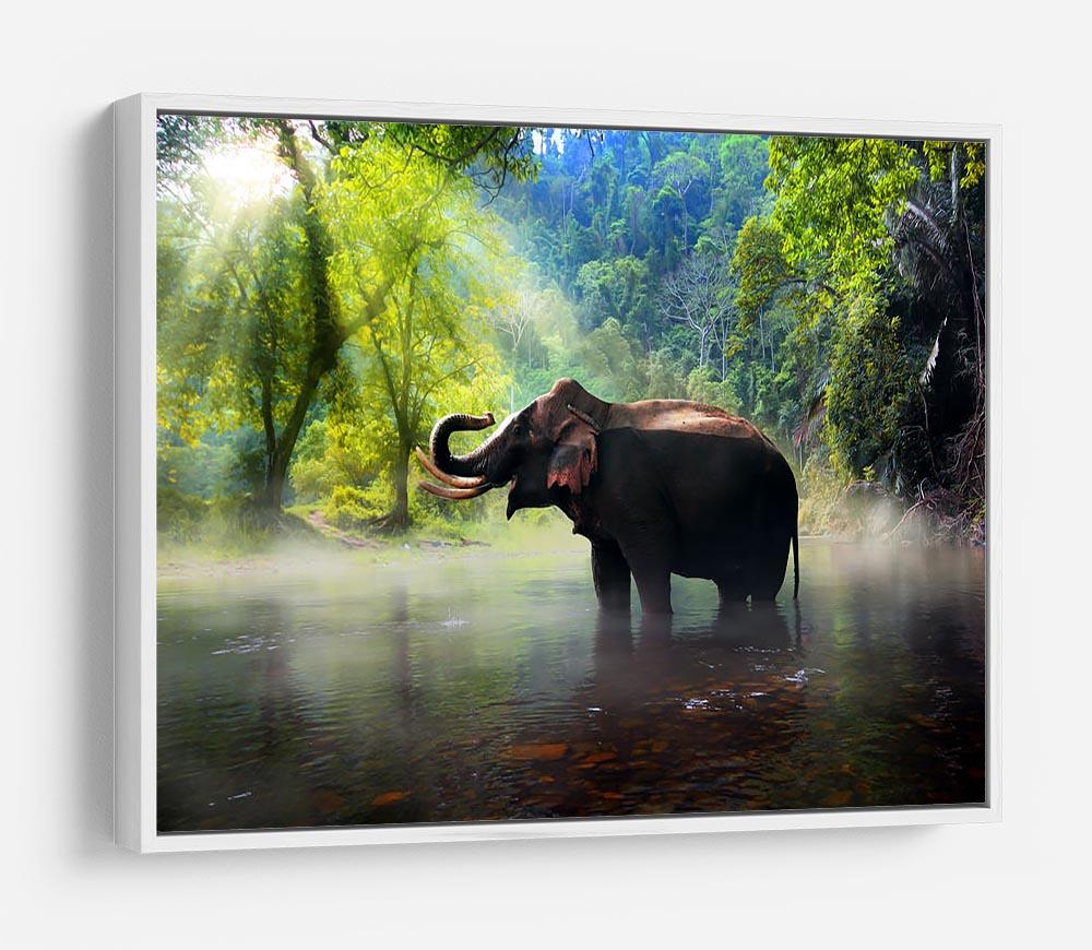 Wild elephant in the beautiful forest HD Metal Print - Canvas Art Rocks - 7