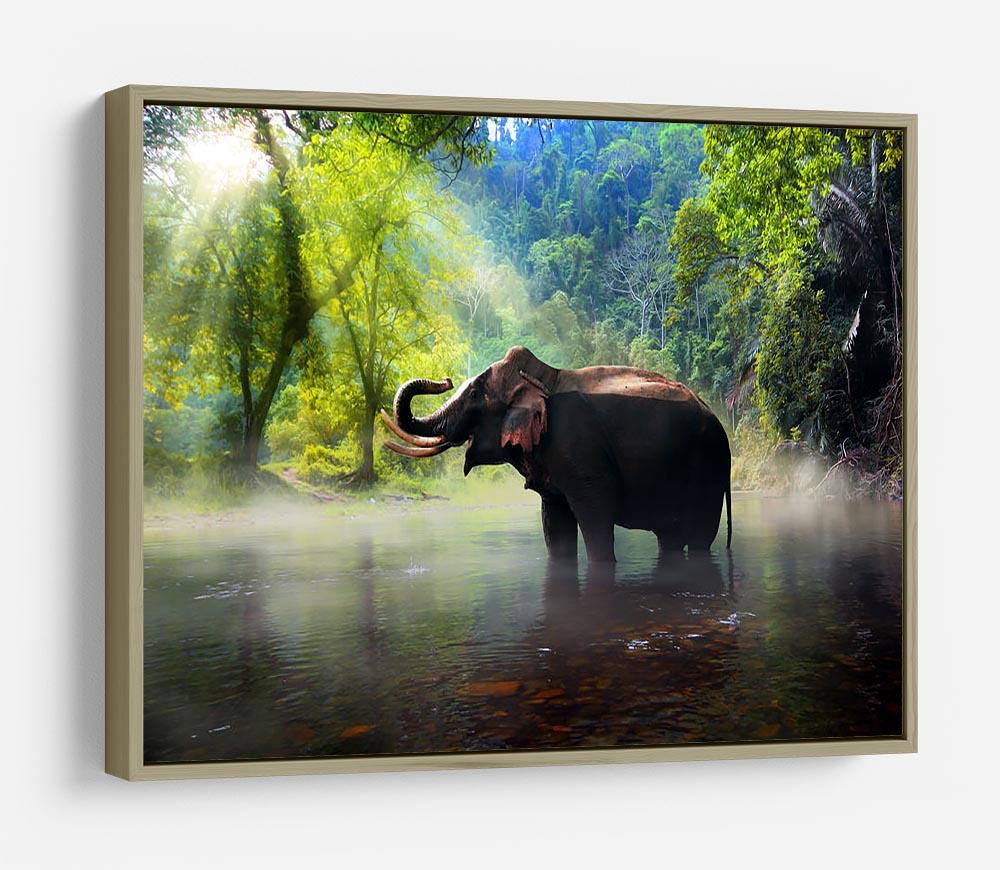 Wild elephant in the beautiful forest HD Metal Print - Canvas Art Rocks - 8