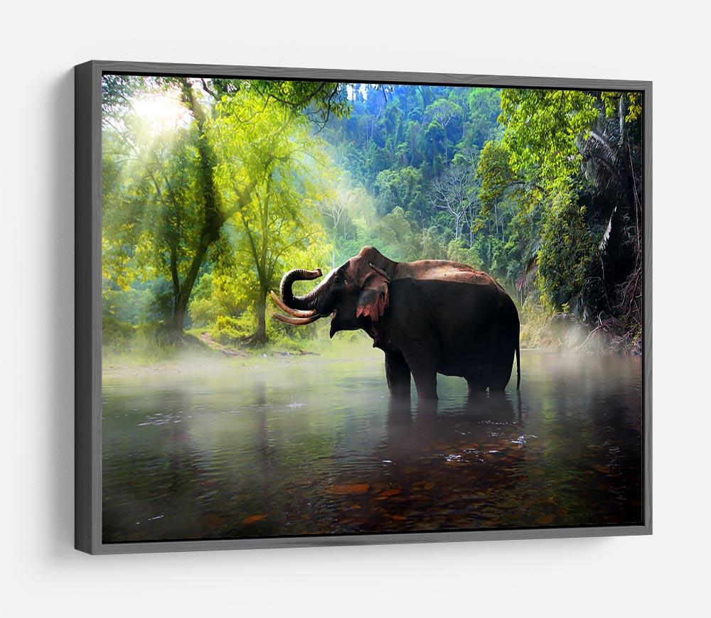 Wild elephant in the beautiful forest HD Metal Print - Canvas Art Rocks - 9