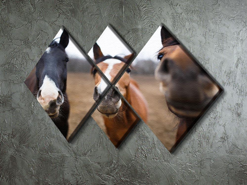 Wild horses on the meadow at spring time 4 Square Multi Panel Canvas - Canvas Art Rocks - 2