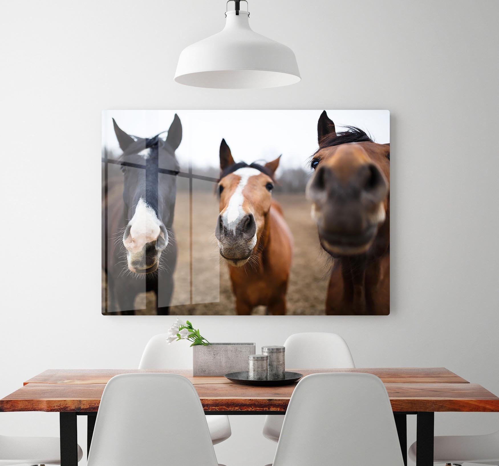 Wild horses on the meadow at spring time HD Metal Print - Canvas Art Rocks - 2