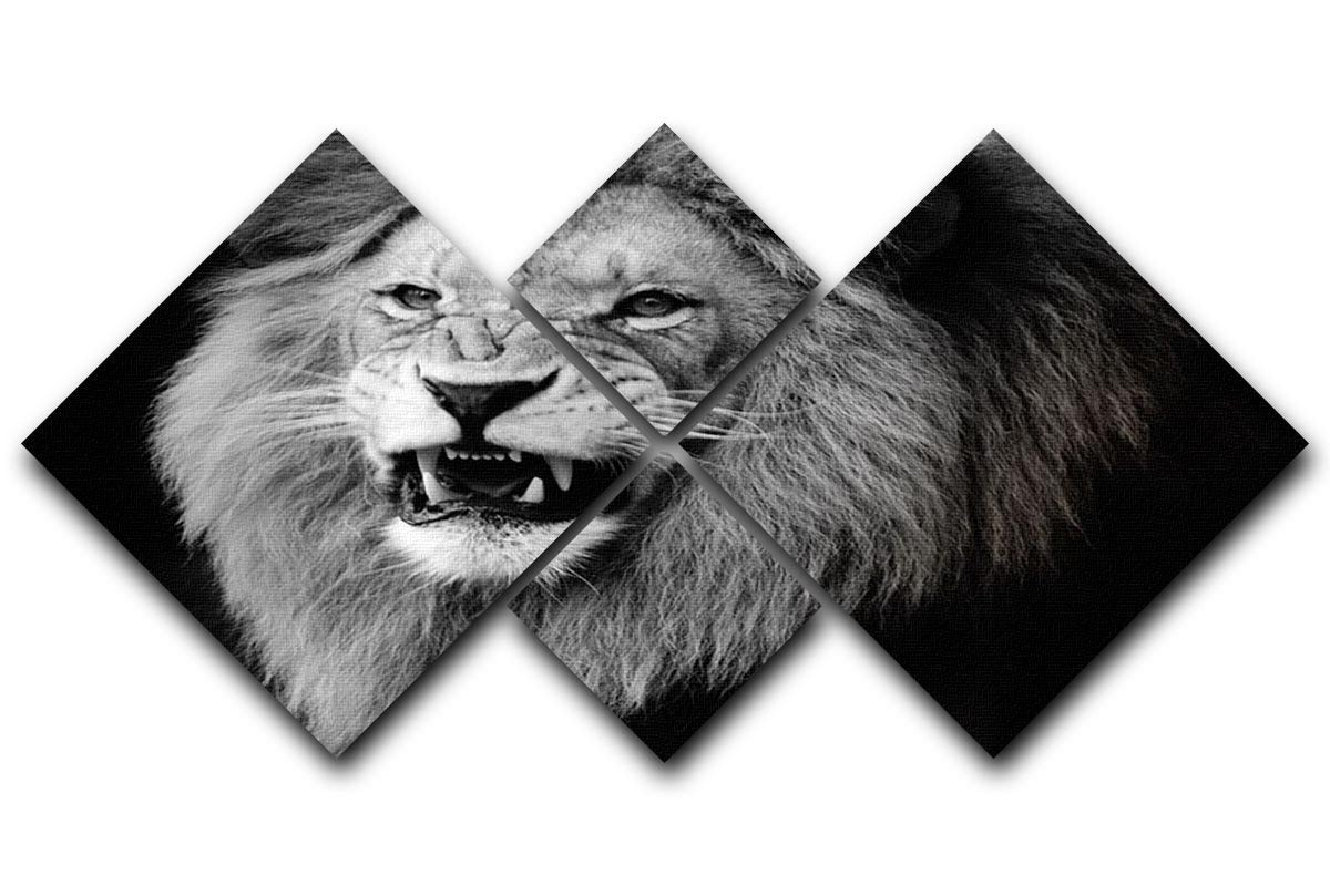Wild lion portrait in black and white. 4 Square Multi Panel Canvas - Canvas Art Rocks - 1
