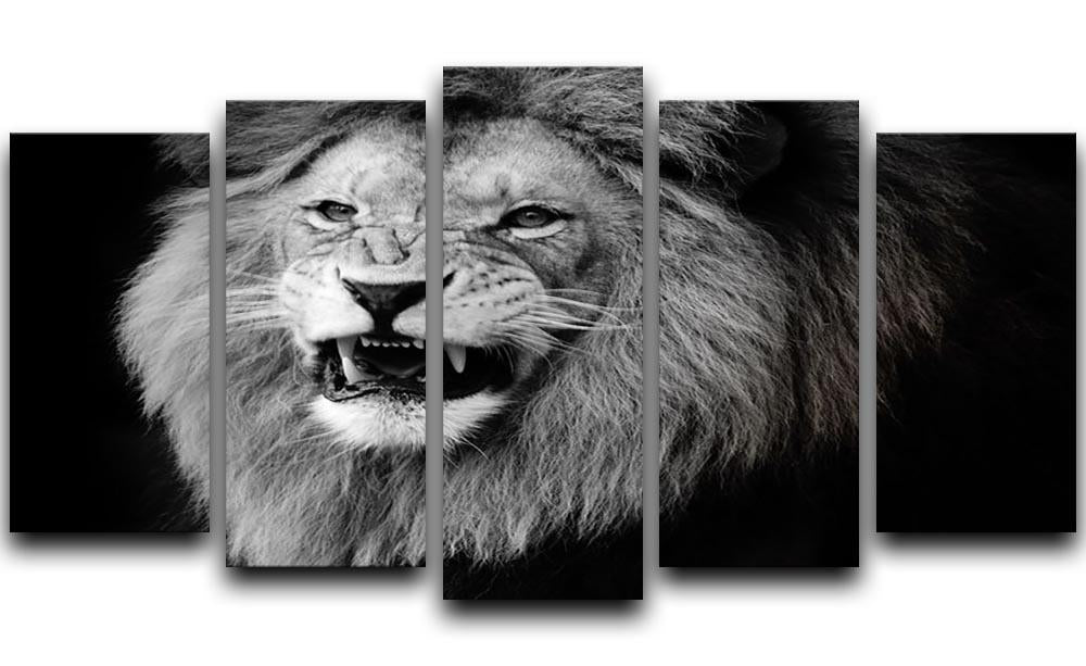 Wild lion portrait in black and white. 5 Split Panel Canvas - Canvas Art Rocks - 1