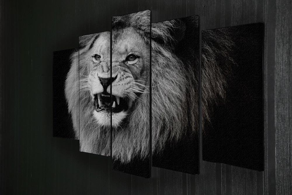 Wild lion portrait in black and white. 5 Split Panel Canvas - Canvas Art Rocks - 2