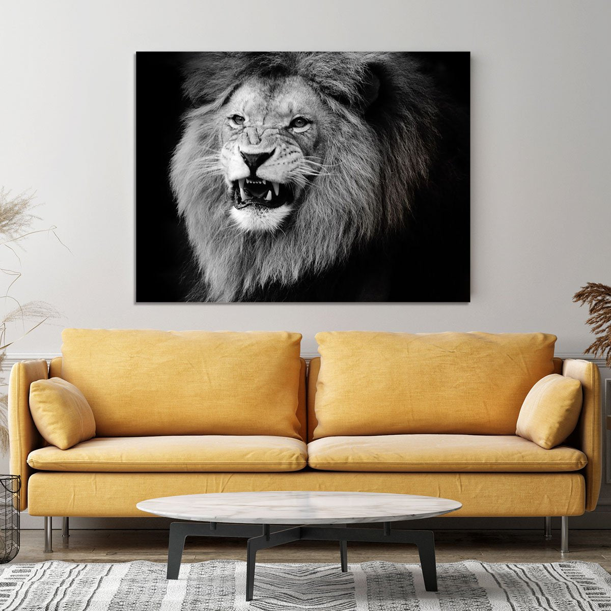 Wild lion portrait in black and white. Canvas Print or Poster