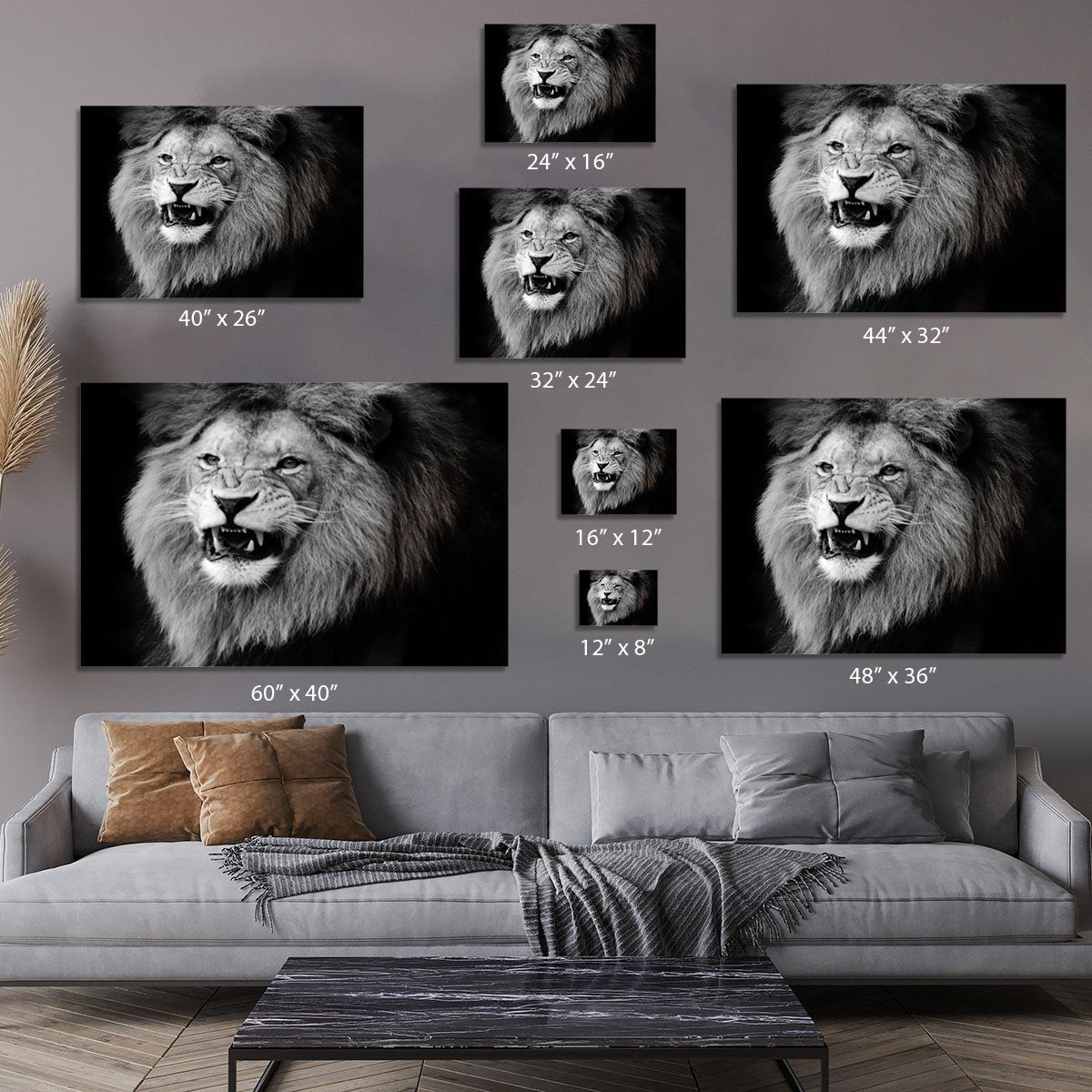 Wild lion portrait in black and white. Canvas Print or Poster
