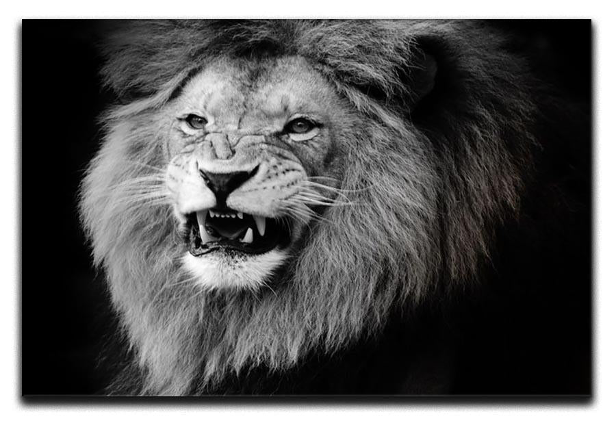 Wild lion portrait in black and white. Canvas Print or Poster - Canvas Art Rocks - 1