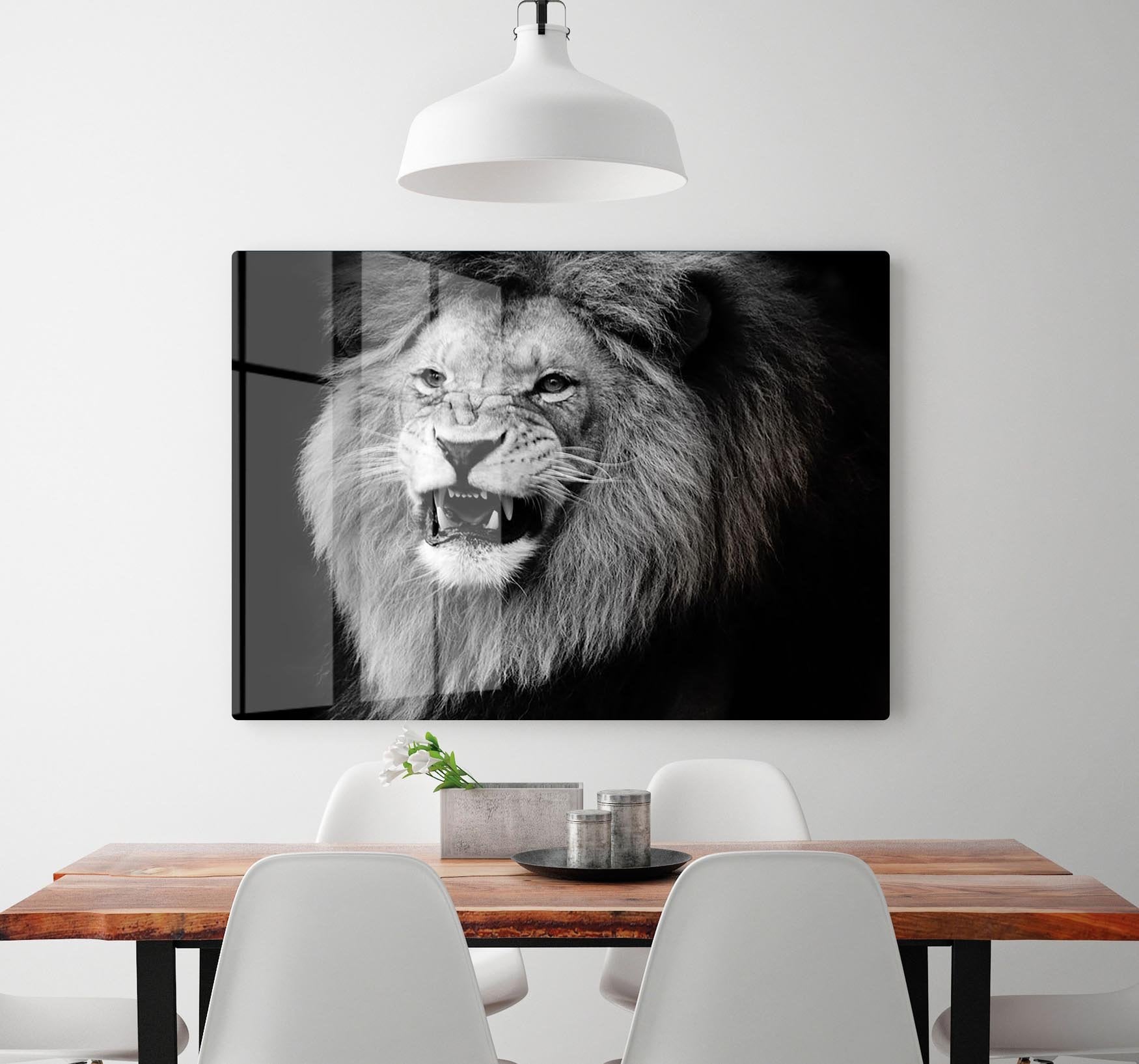 Wild lion portrait in black and white. HD Metal Print - Canvas Art Rocks - 2