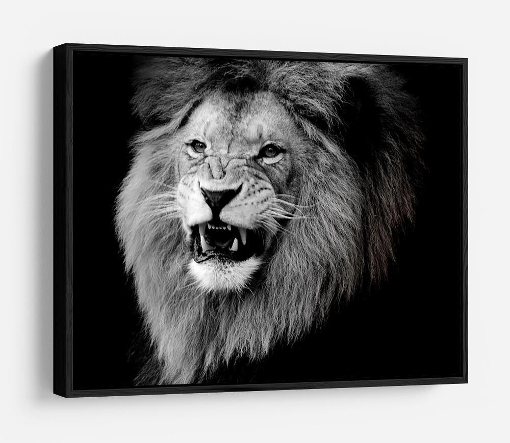 Wild lion portrait in black and white. HD Metal Print - Canvas Art Rocks - 6