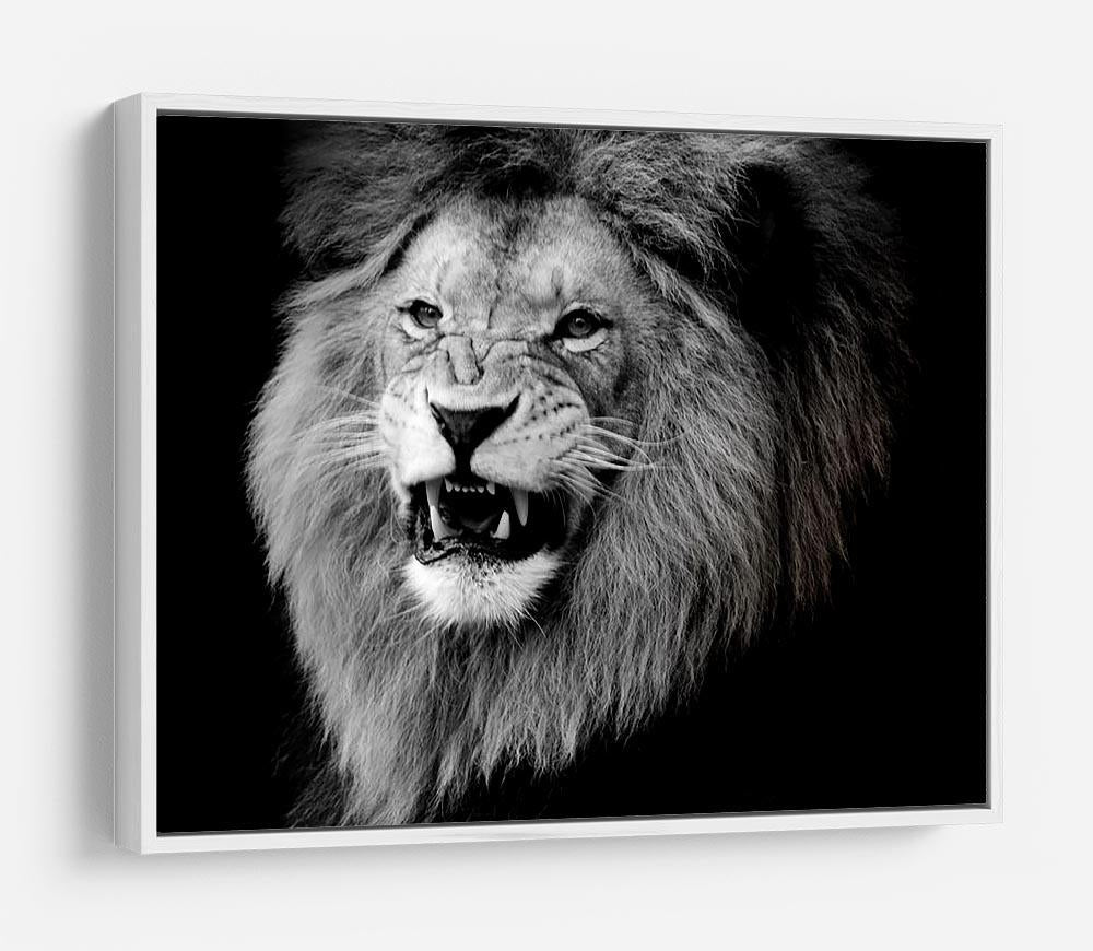 Wild lion portrait in black and white. HD Metal Print - Canvas Art Rocks - 7