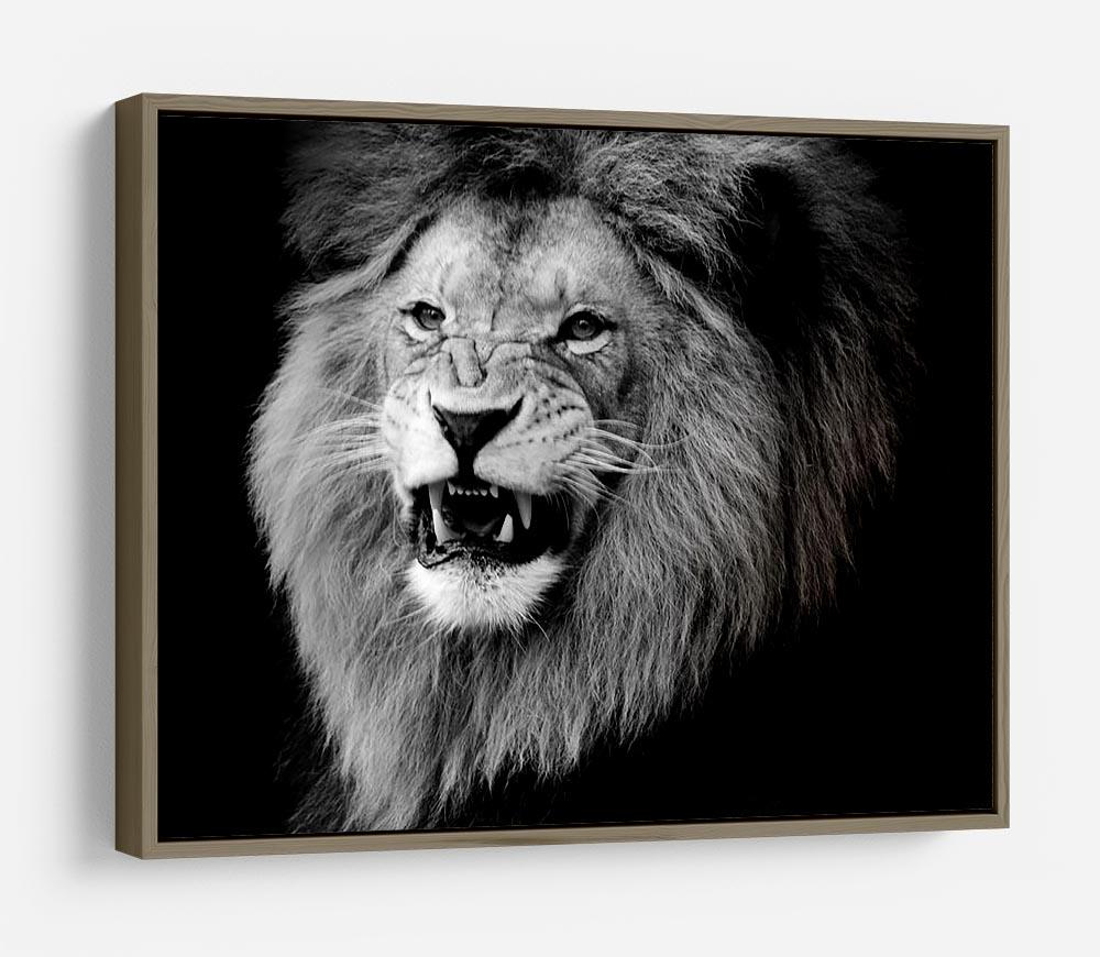 Wild lion portrait in black and white. HD Metal Print - Canvas Art Rocks - 10