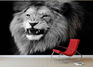 Wild lion portrait in black and white. Wall Mural Wallpaper - Canvas Art Rocks - 2