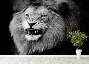Wild lion portrait in black and white. Wall Mural Wallpaper - Canvas Art Rocks - 4