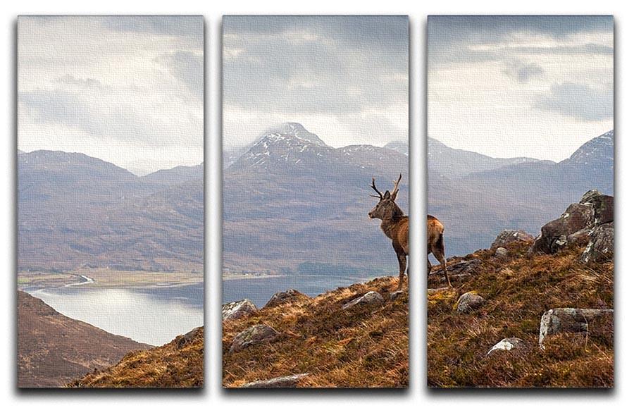 Wild stag overlooking Loch Torridon 3 Split Panel Canvas Print - Canvas Art Rocks - 1
