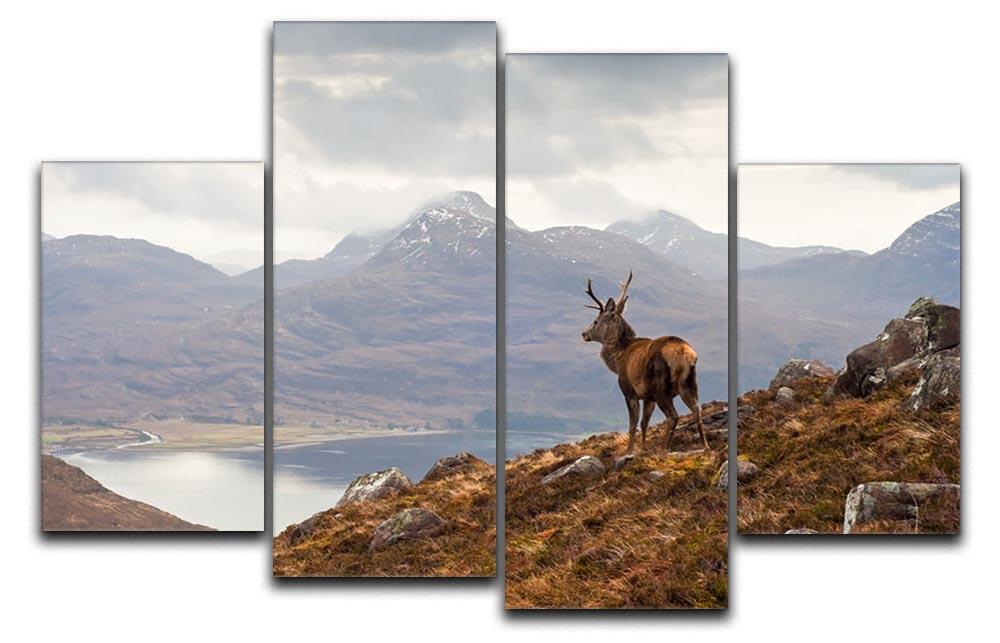 Wild stag overlooking Loch Torridon 4 Split Panel Canvas - Canvas Art Rocks - 1